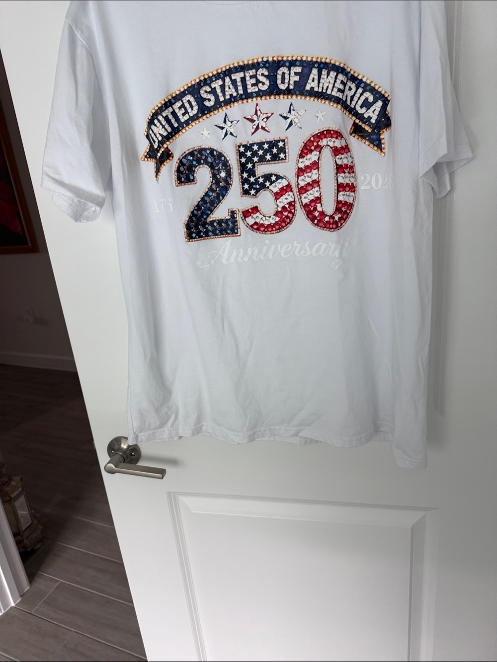 250 United States Graphic Tee - White XL